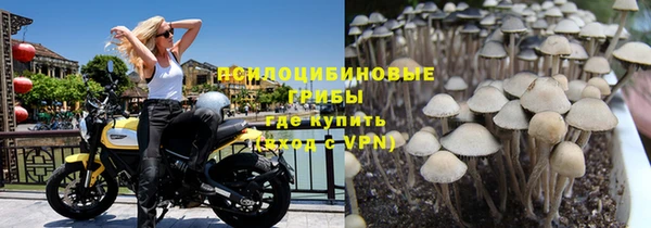 не бодяженный Абинск