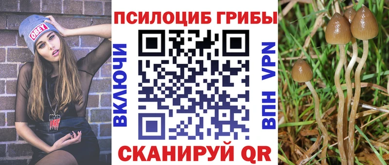 Галлюциногенные грибы Magic Shrooms Шарыпово